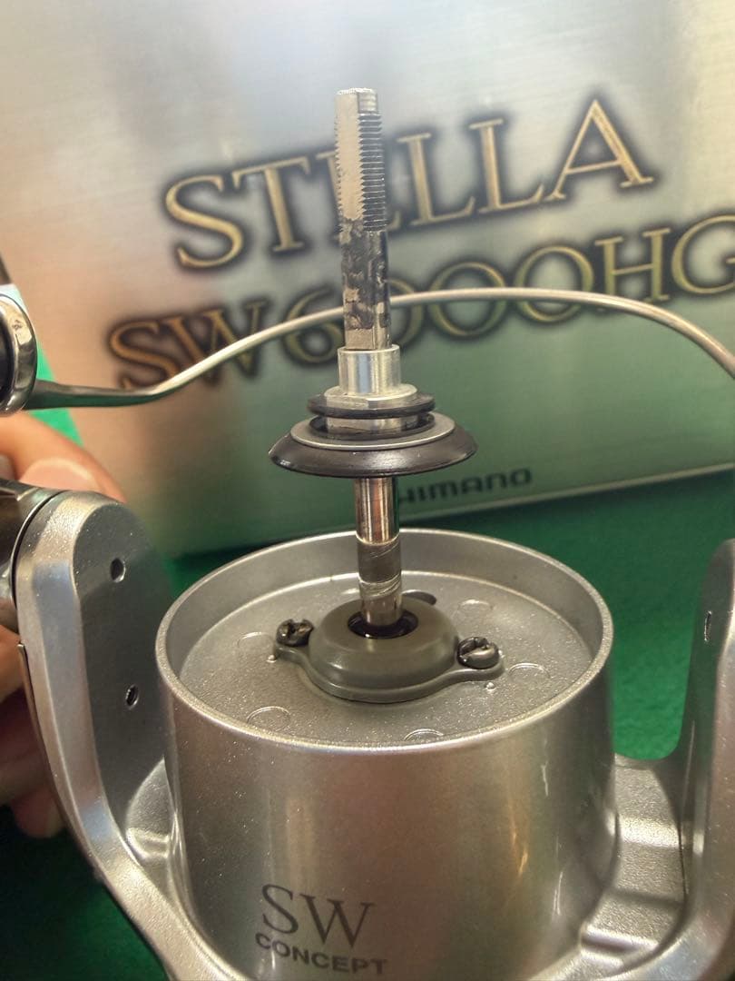 SHIMANO STELLA SW6000HG スピニングリール