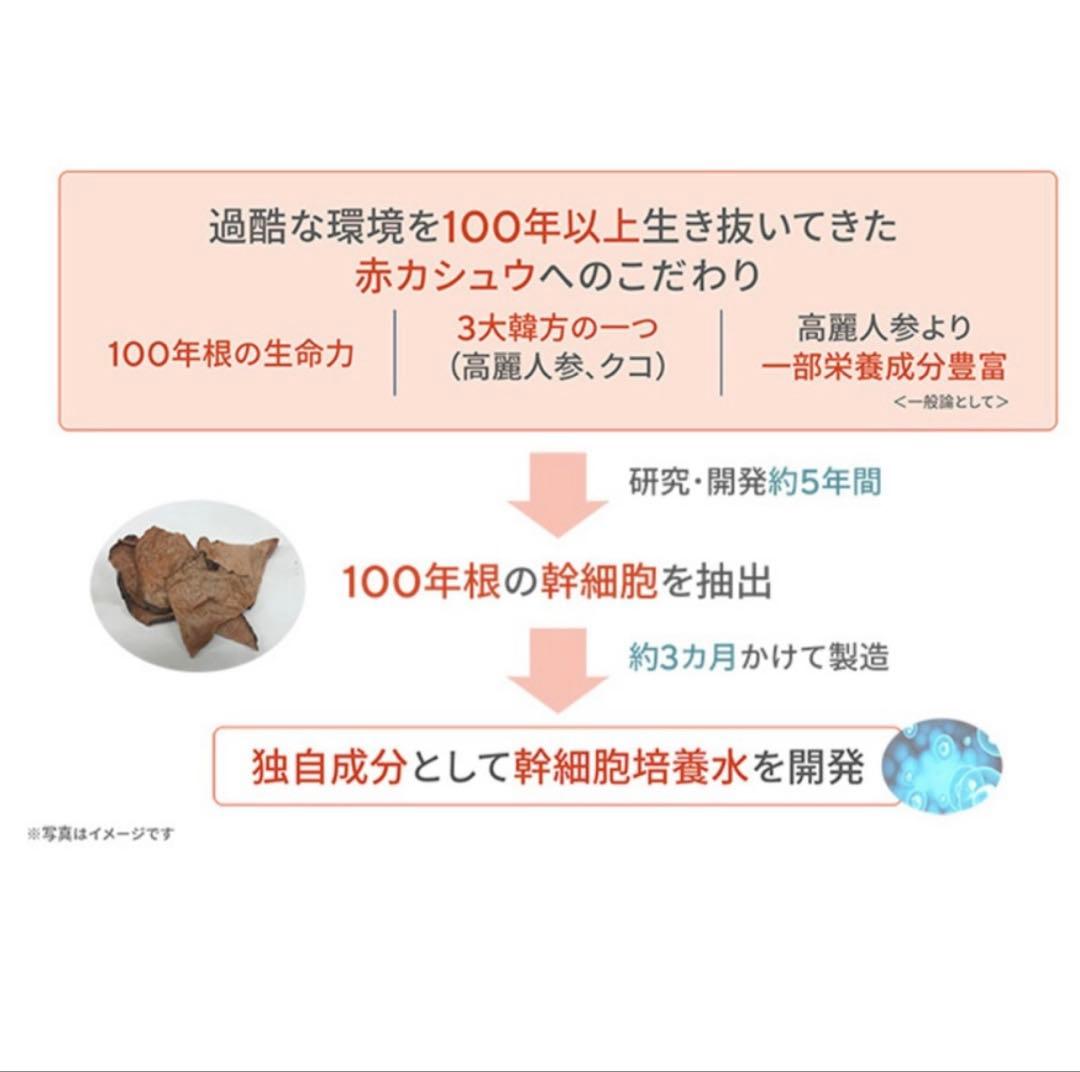 サイムダンプレミアム　アクトレススーパーリフティング　ファンデーション　レフィル