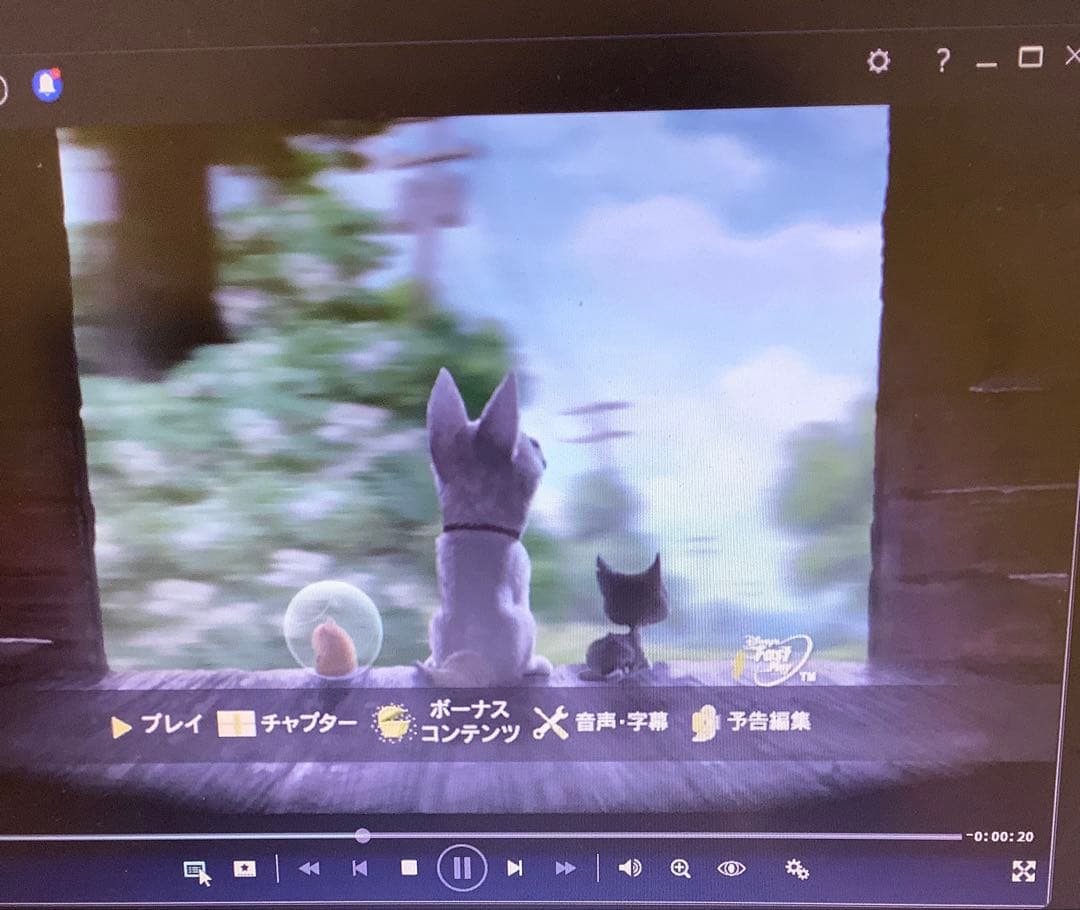 ディズニー DVD セット 新品 中古 動作確認済み 子供用 13枚 まとめ売り