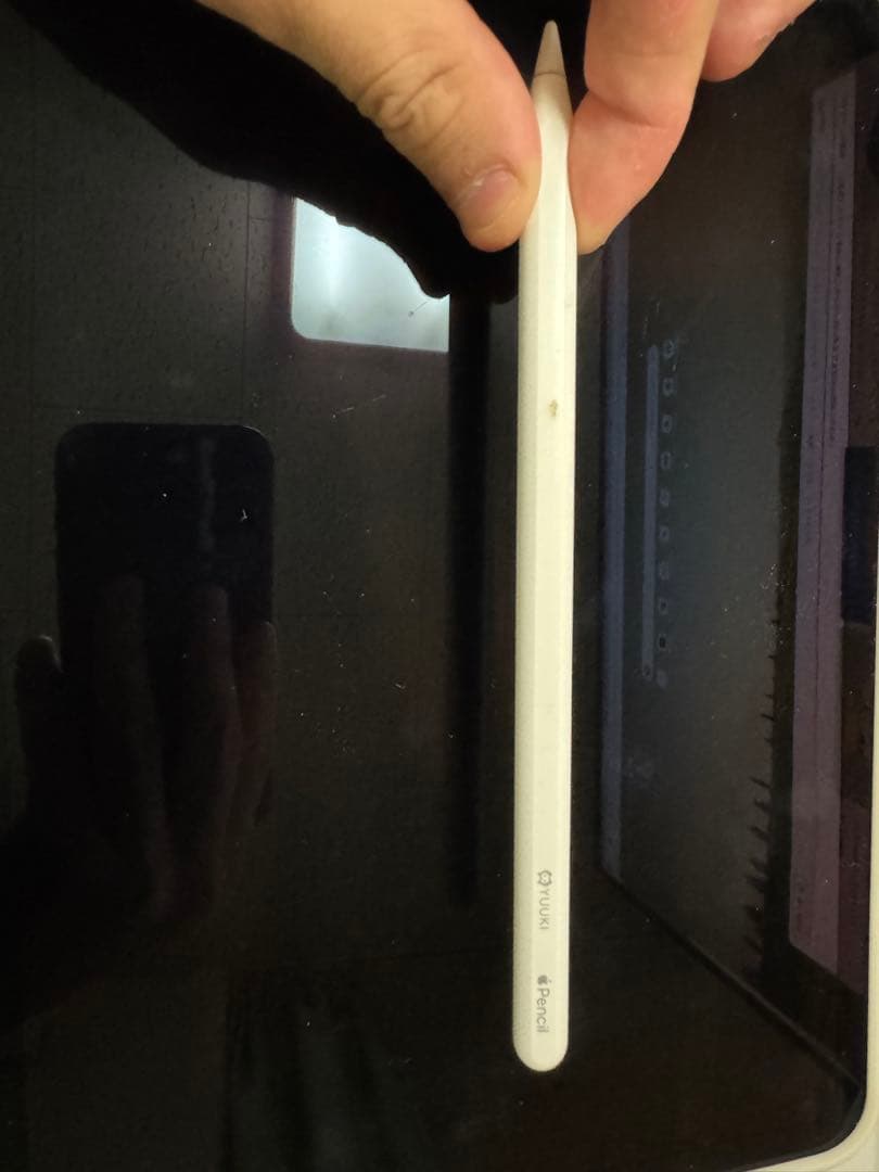 Apple iPad 256GB シルバー 本体+apple pencil