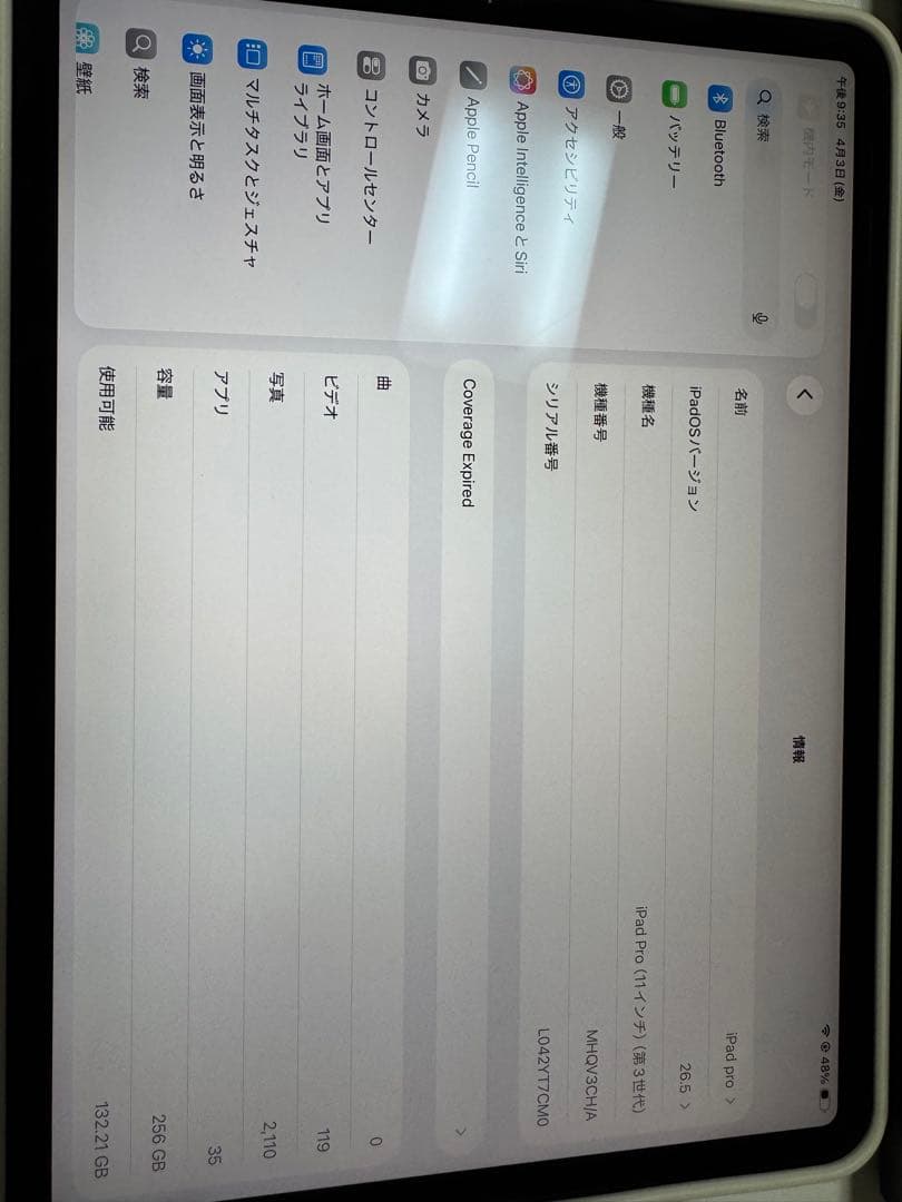 Apple iPad 256GB シルバー 本体+apple pencil