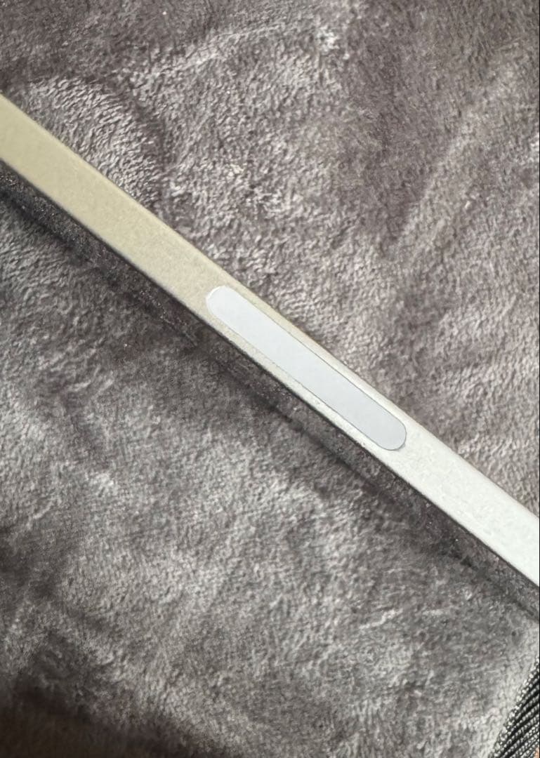 Apple iPad 256GB シルバー 本体+apple pencil