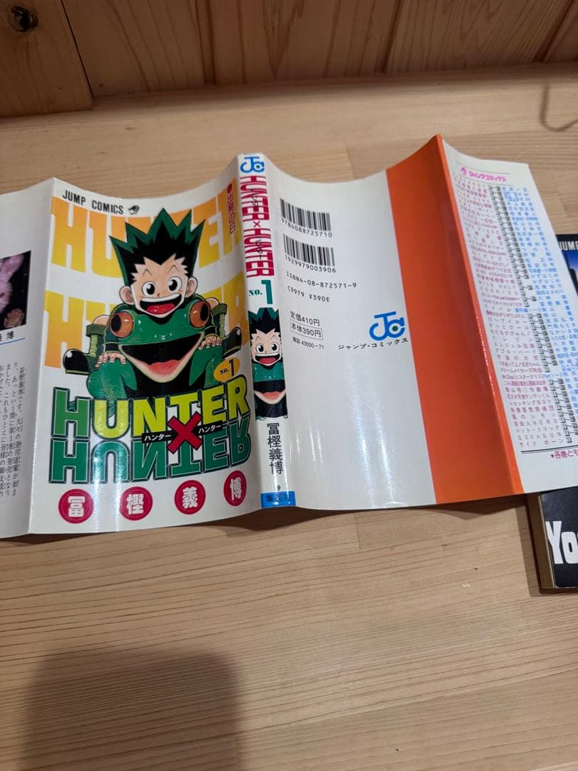 【激レア】ハンター×ハンター 1巻 初版 HUNTER×HUNTER 冨樫義博
