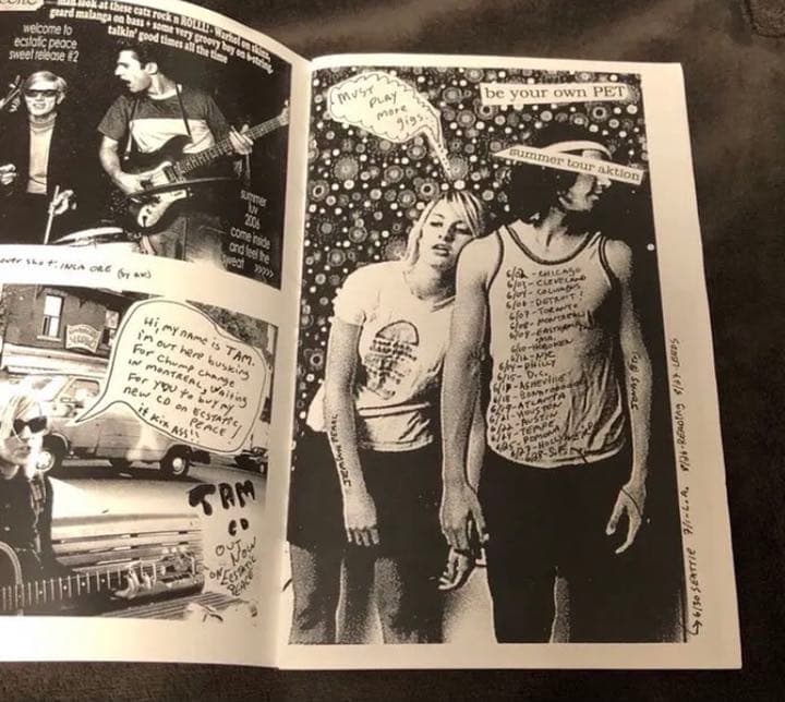 絶版‼️ Sonic Youth 「Ecstatic Peace!」 ZINE