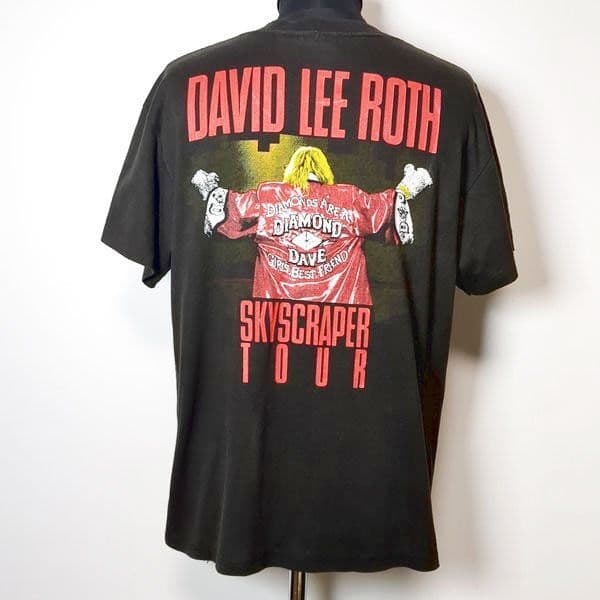 USA製 デイヴィッドリーロス ロックTシャツ L ヴィンテージ 80s