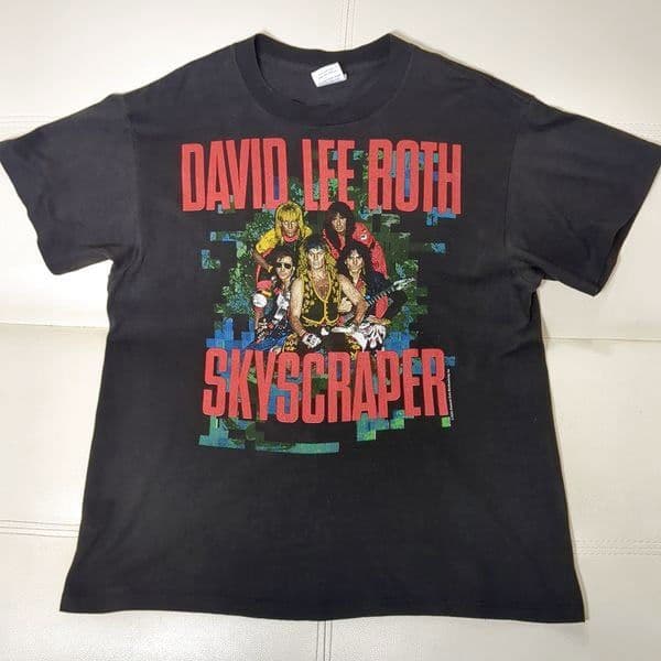 USA製 デイヴィッドリーロス ロックTシャツ L ヴィンテージ 80s