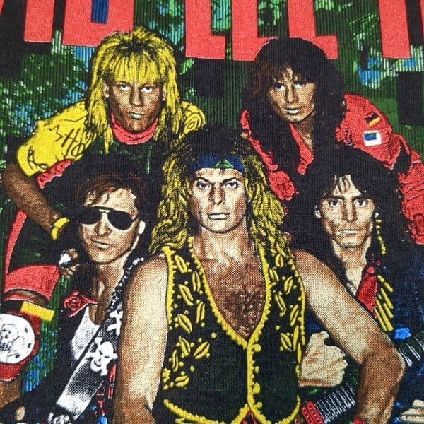 USA製 デイヴィッドリーロス ロックTシャツ L ヴィンテージ 80s