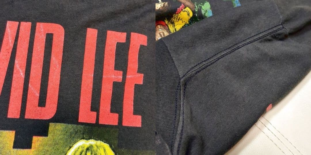 USA製 デイヴィッドリーロス ロックTシャツ L ヴィンテージ 80s
