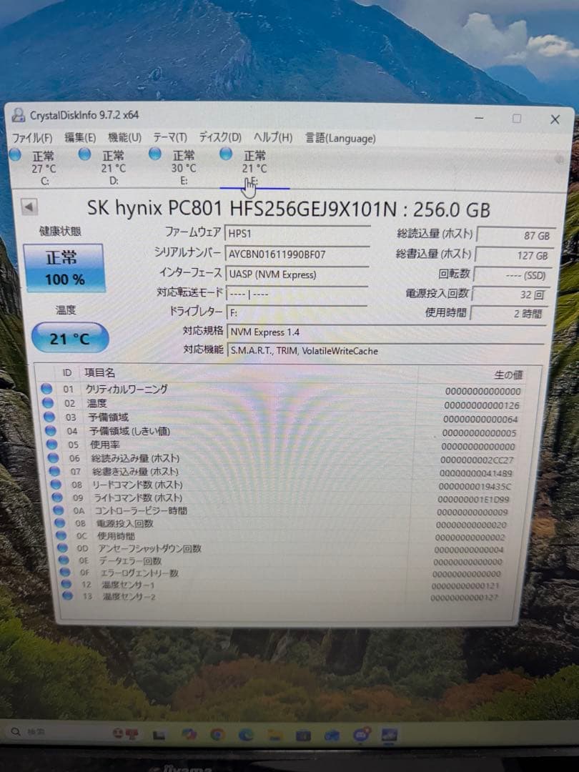 SK hynix PC801 256GB SSD Gen4×4 100%