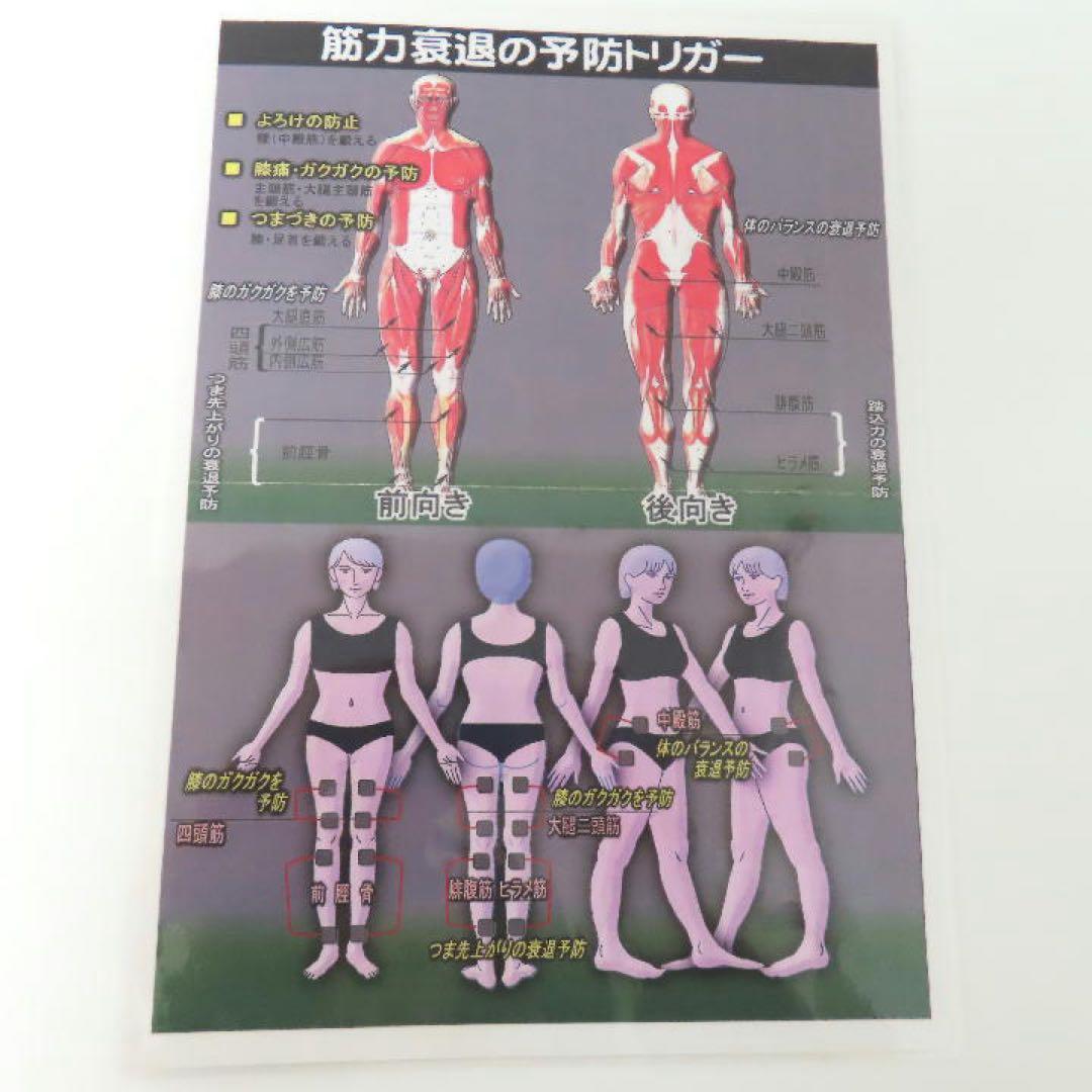 複合高周波EMS メタボシェイプDi FREUDEminiセット