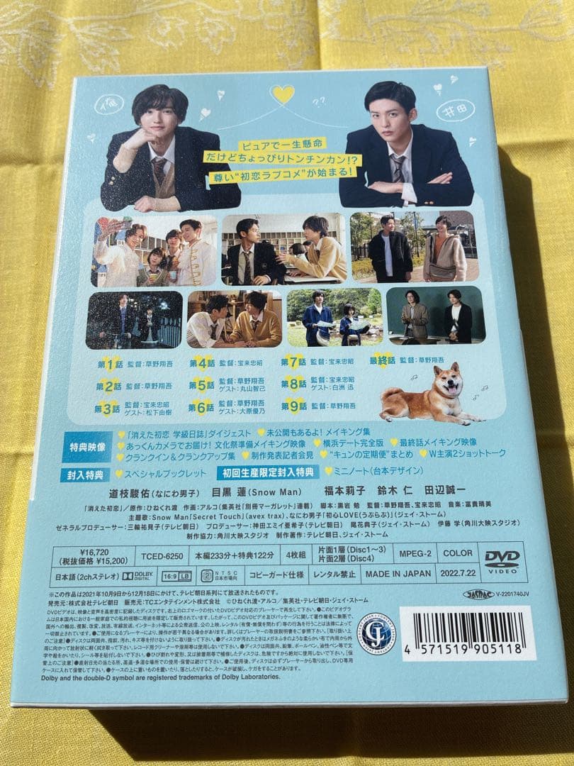 消えた初恋 DVD