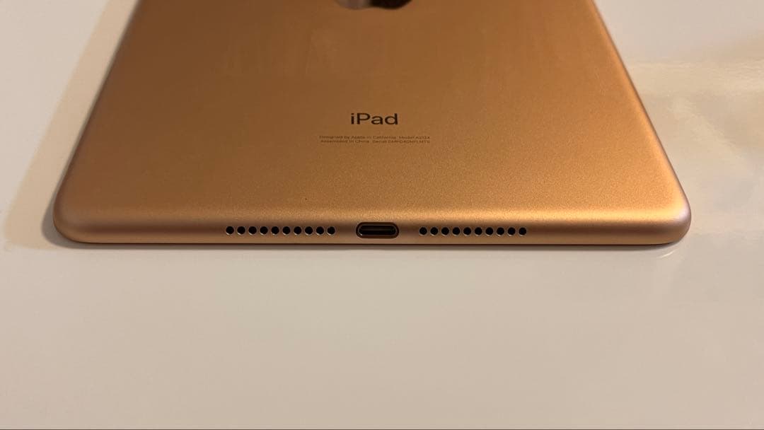 Apple iPad mini 5 64GB バッテリー96%
