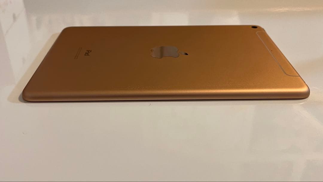 Apple iPad mini 5 64GB バッテリー96%