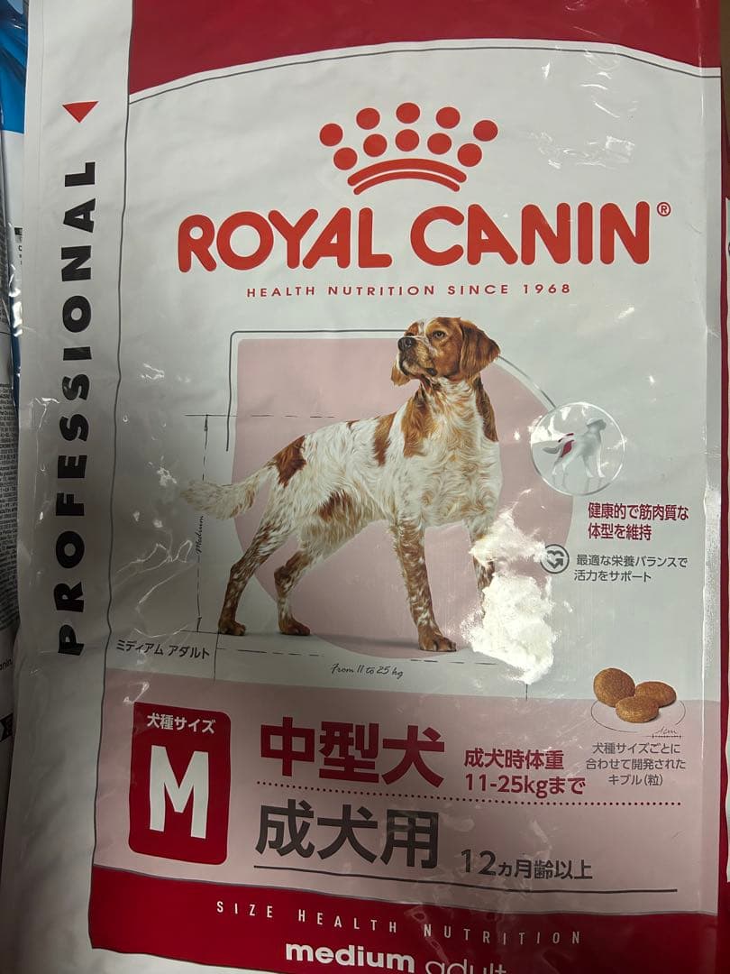 なぽたん