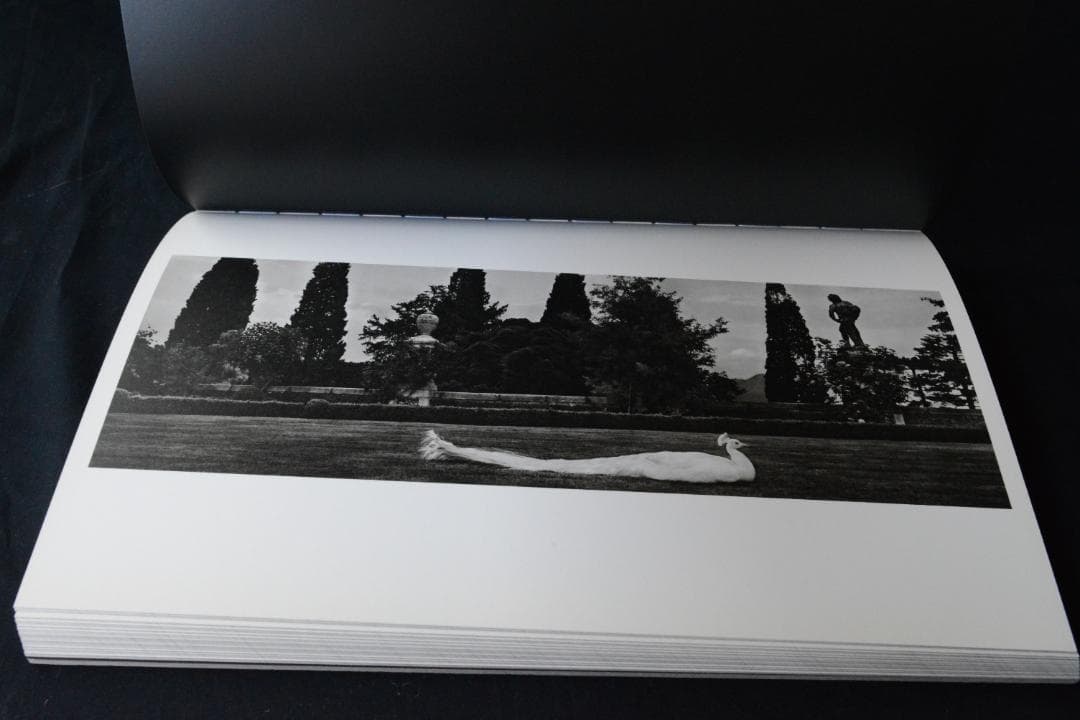 Koudelka Piedmont: Josef Koudelka】美本・未読品
