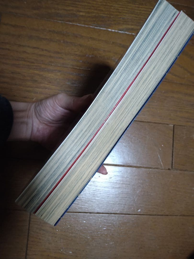 値下桜野ねねセット まもって守護月天！ ショーウィンドウのエミリーひなぎく見参!