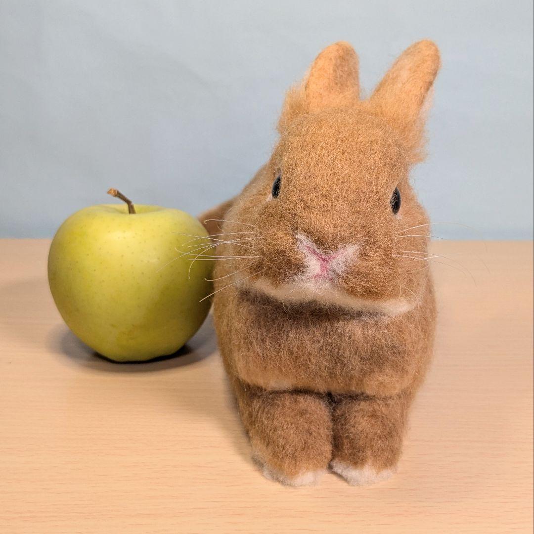 羊毛フェルト　うさぎ　まったりオレンジドワーフ　のあ