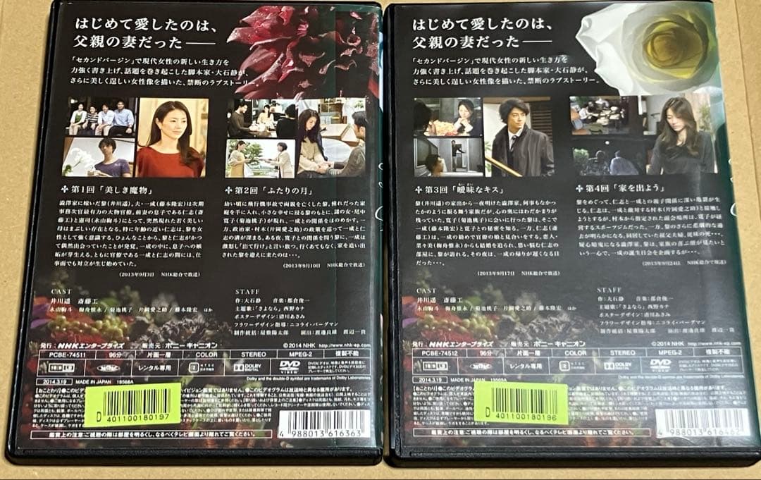 ガラスの家 DVD 5巻セット　井川遥　斎藤工