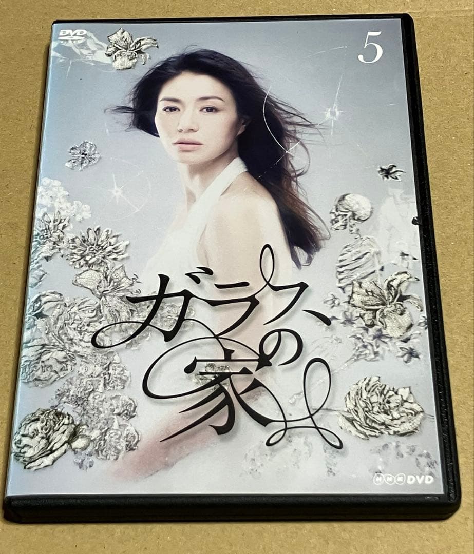 ガラスの家 DVD 5巻セット　井川遥　斎藤工
