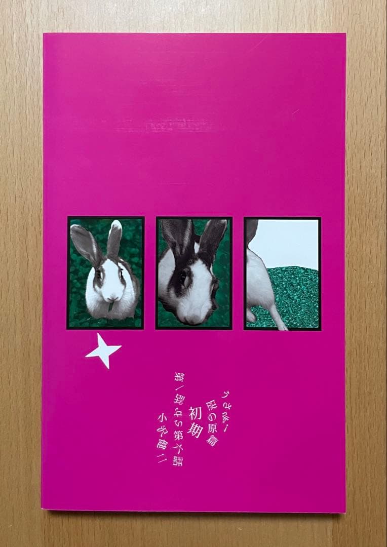 小沢健二 うさぎ セット売り 文学のテクノロジー 魔法的 子供と昔話 希少本