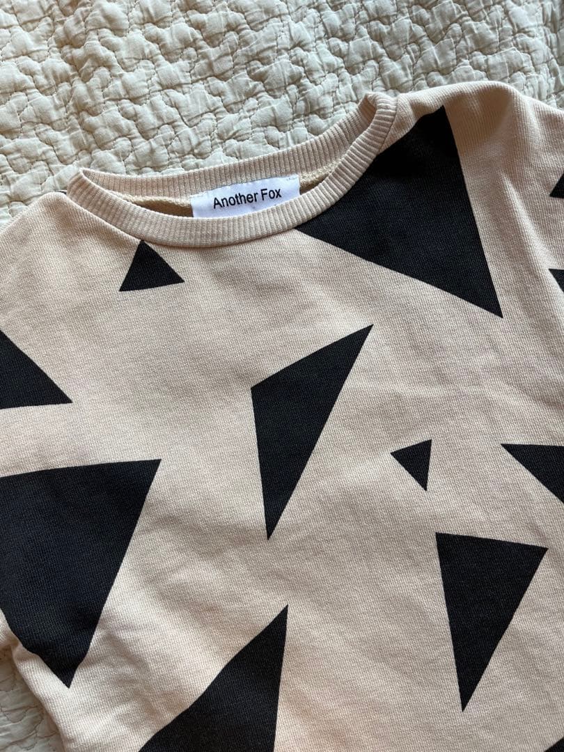 Another fox セットアップ triangle