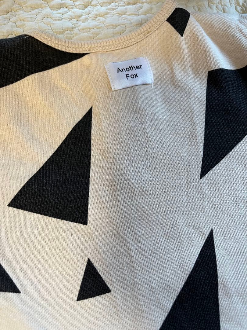 Another fox セットアップ triangle