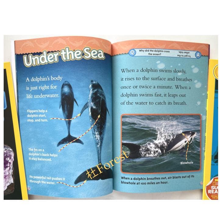 新品 National Geographic Kids 2 絵本41冊 音源付