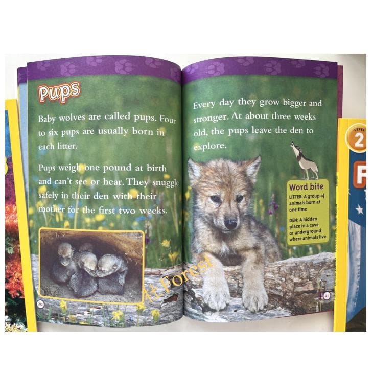 新品 National Geographic Kids 2 絵本41冊 音源付
