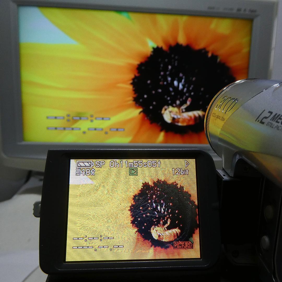 パナソニックNV-GS120動作良好 MiniDVビデオカメラ　ダビングに最適