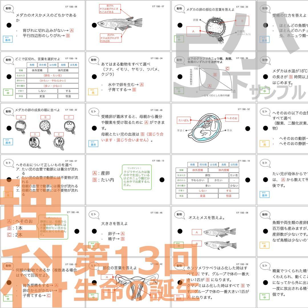 中学受験 暗記カード【5年下 理科全セット 1-18回】予シリ 組分けテスト