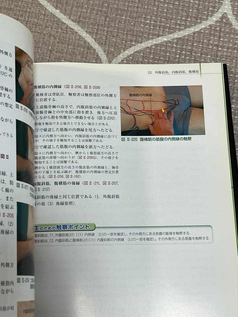 改訂第2版　骨格筋の形と触察法