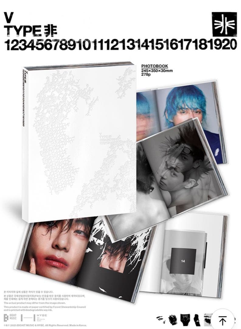 V TYPE 非　写真集　フォトブック　BTS テテ