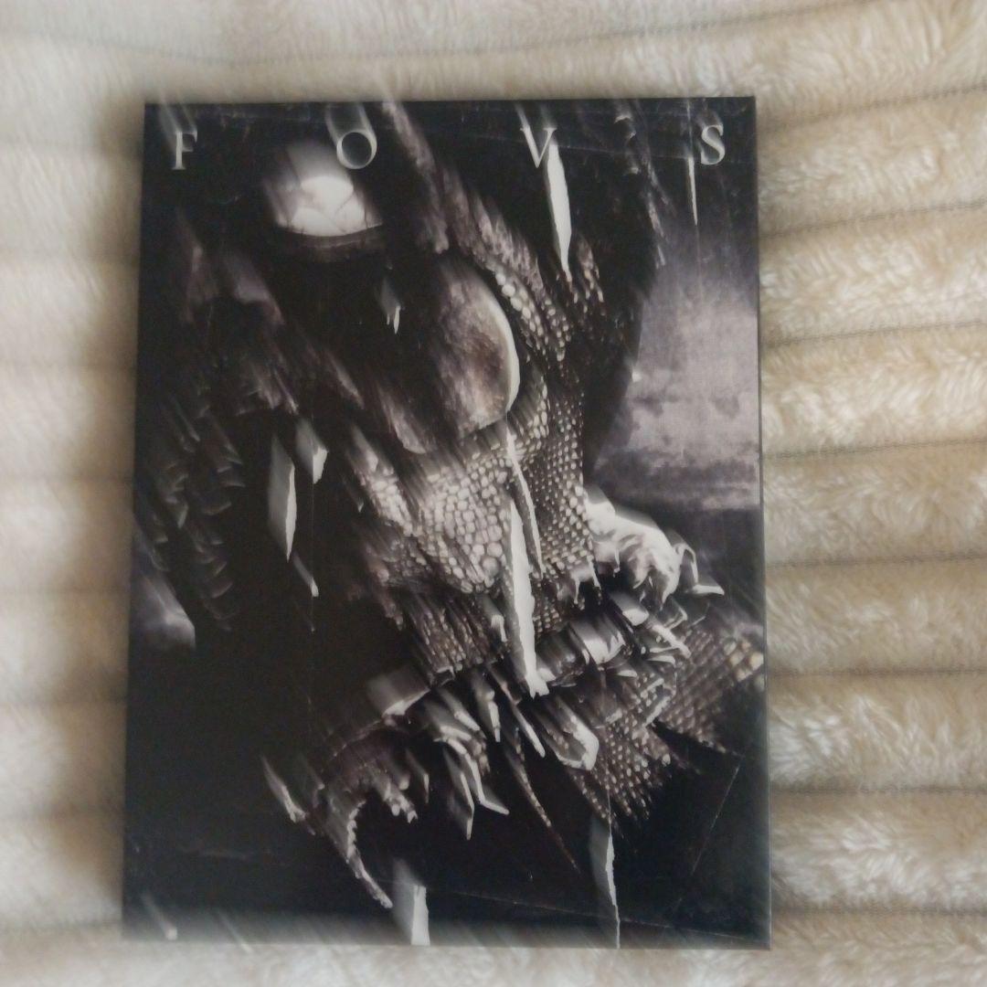 DIR EN GREY DVD　tour09 FEAST OF V SENSES