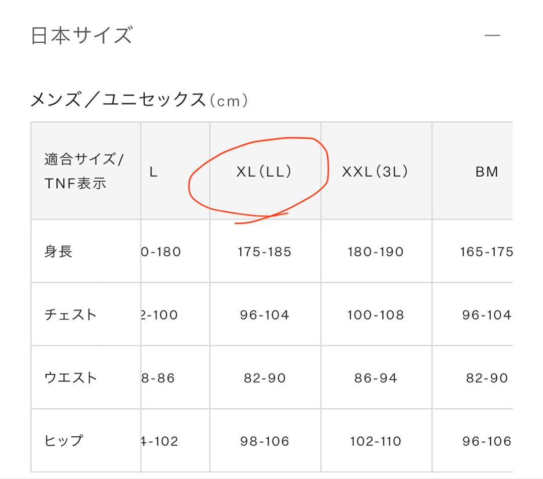 ノースフェイス ダウンベスト L/Gサイズ