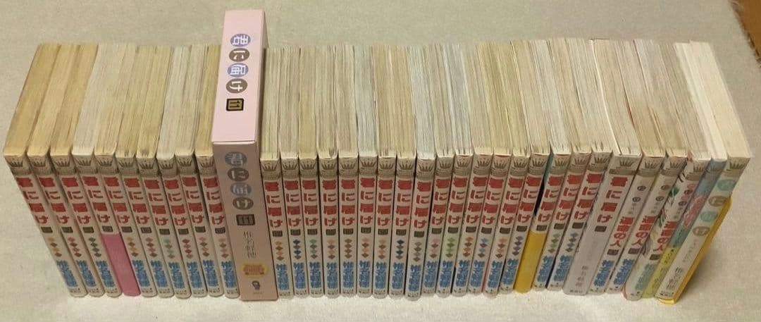 君に届け全巻＋運命の人1〜３巻＋FAN BOOK＋GUIDE BOOK　セット