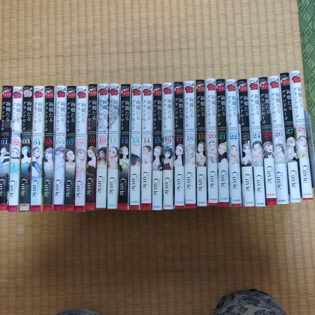 絢爛たるグランドセーヌ既刊全28巻