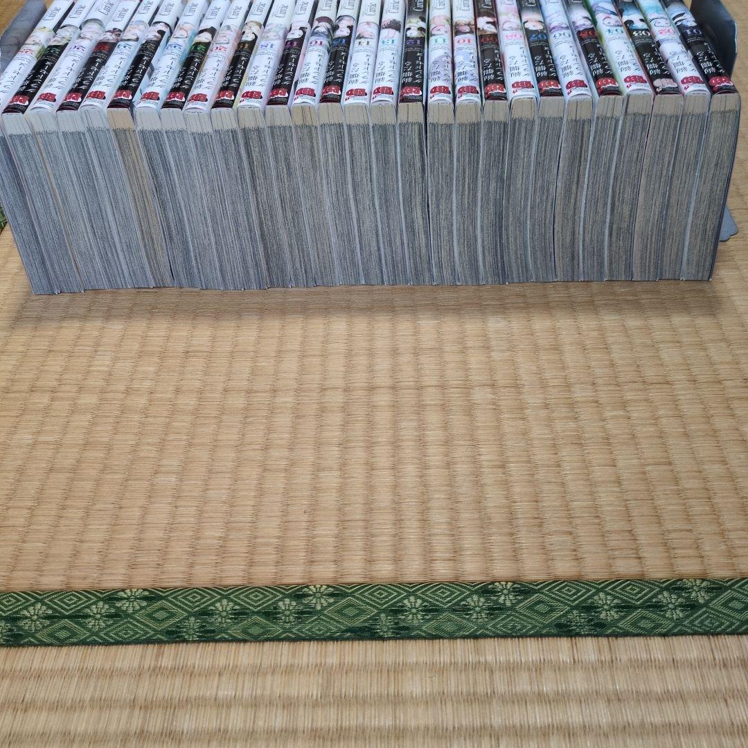 絢爛たるグランドセーヌ既刊全28巻