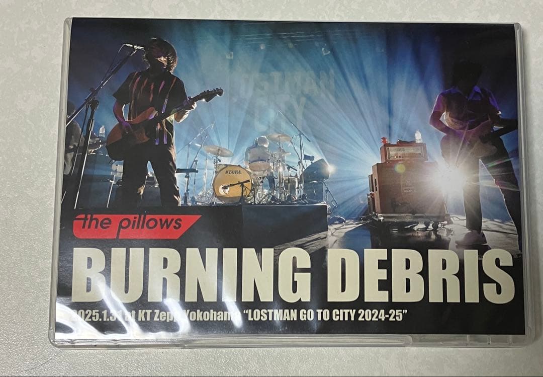 the pillows 『BURNING DEBRIS 2025.1.31』