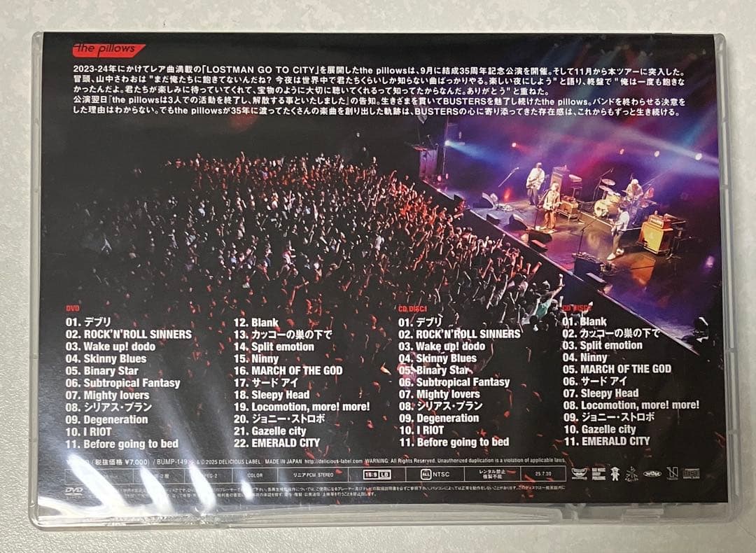the pillows 『BURNING DEBRIS 2025.1.31』