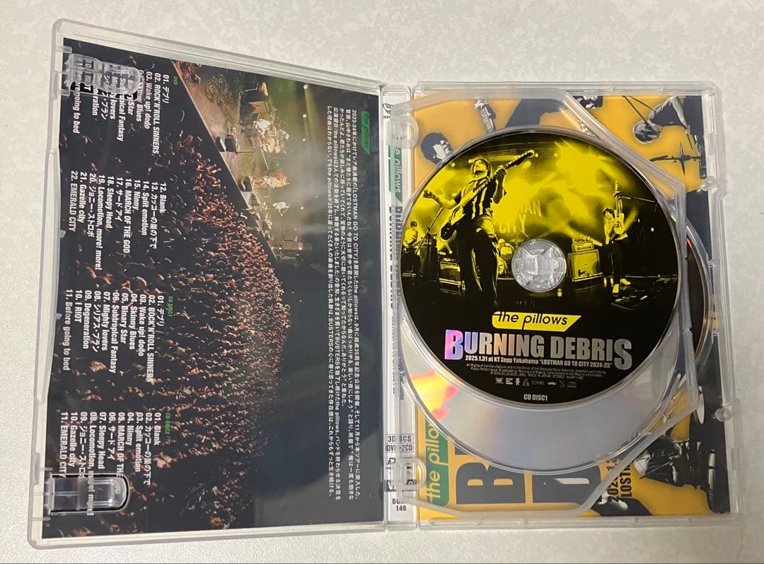 the pillows 『BURNING DEBRIS 2025.1.31』