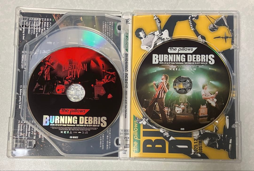 the pillows 『BURNING DEBRIS 2025.1.31』