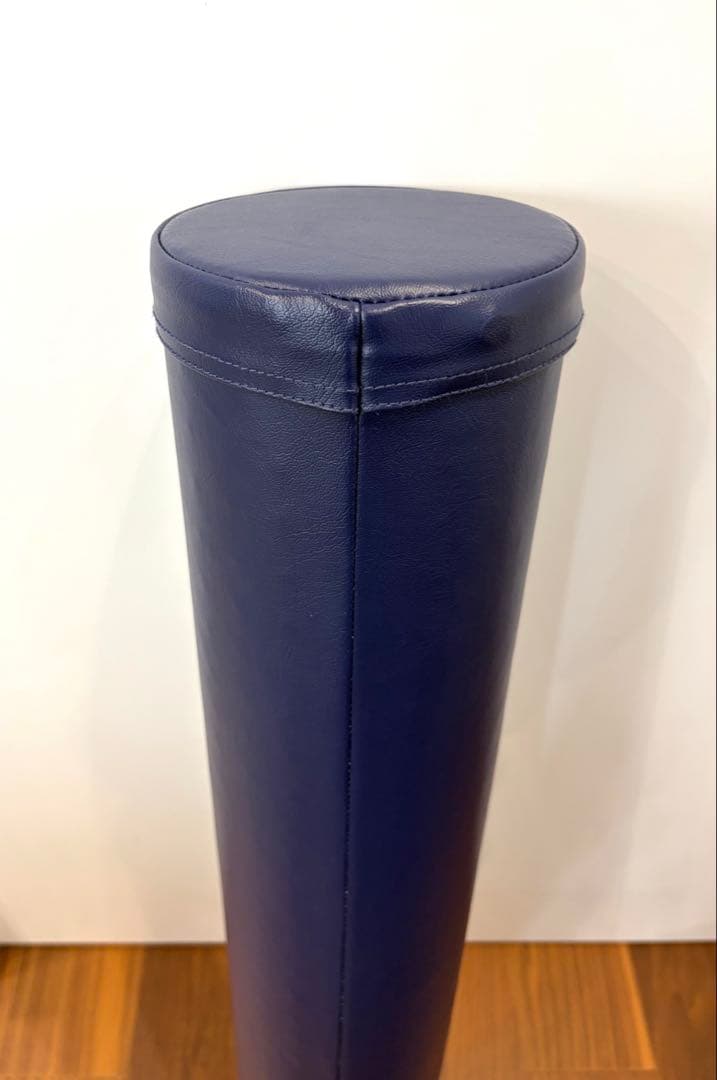 【ほぼ未使用】LPN正規品 ストレッチポールEX