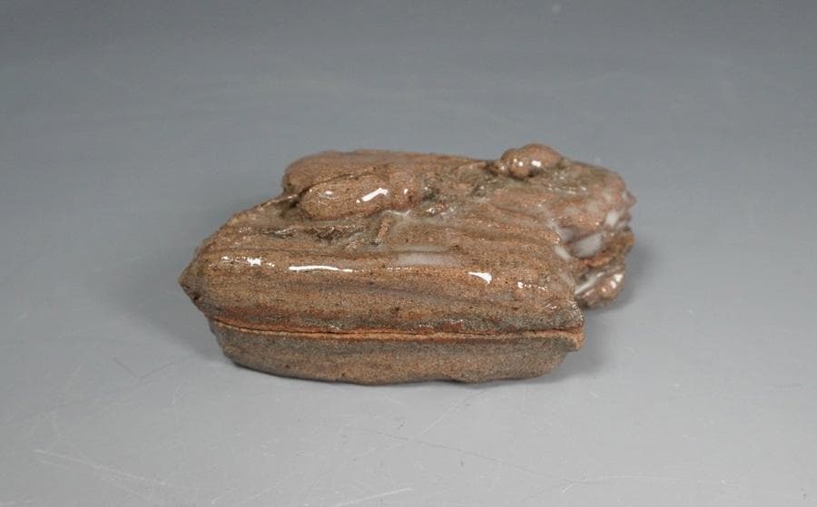 紹美 虫香合 共箱 茶道具