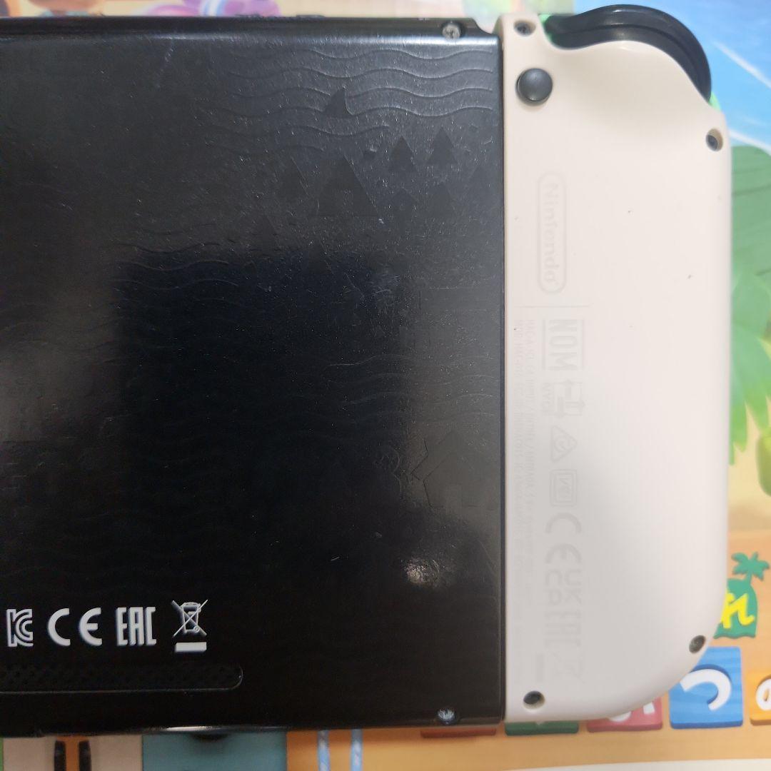 NintendoSwitch あつまれどうぶつの森 本体