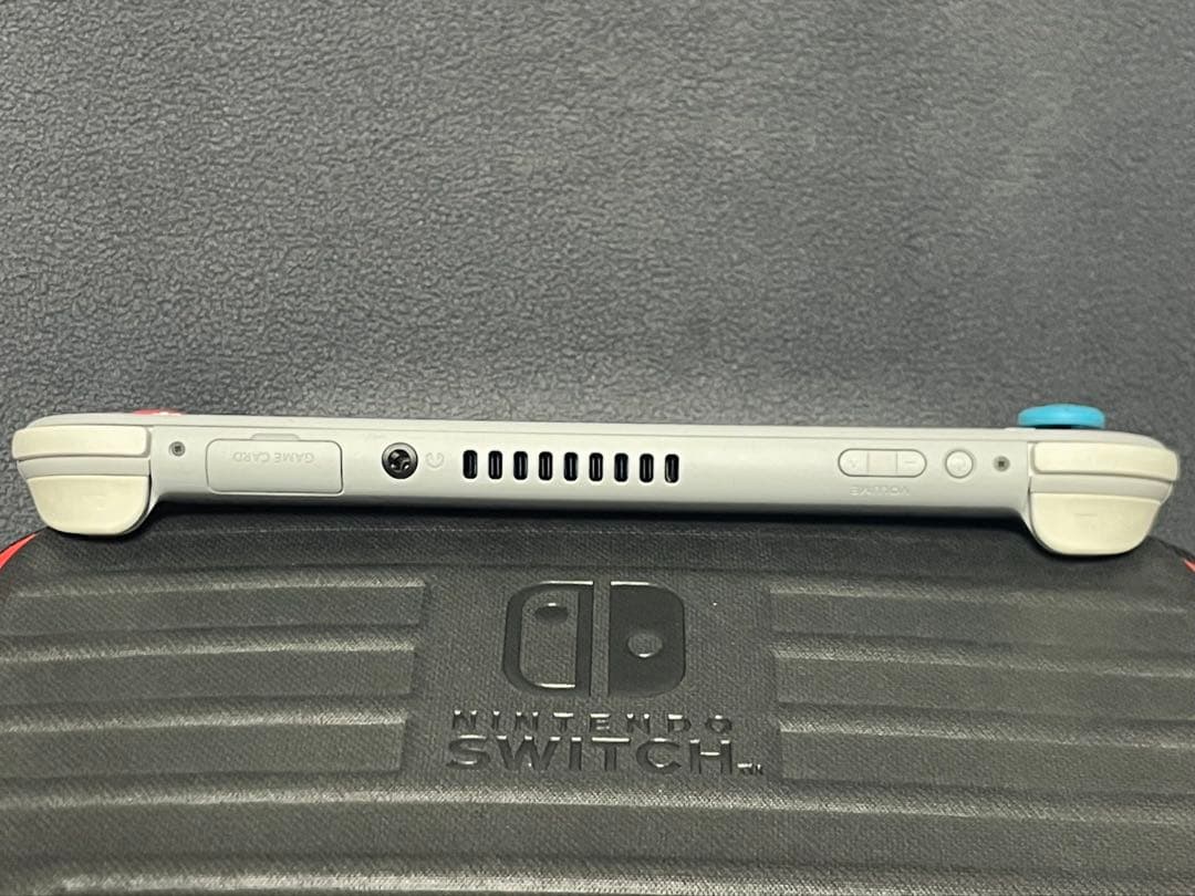 【動作確認済み】Nintendo Switch Lite ライト 剣盾モデル