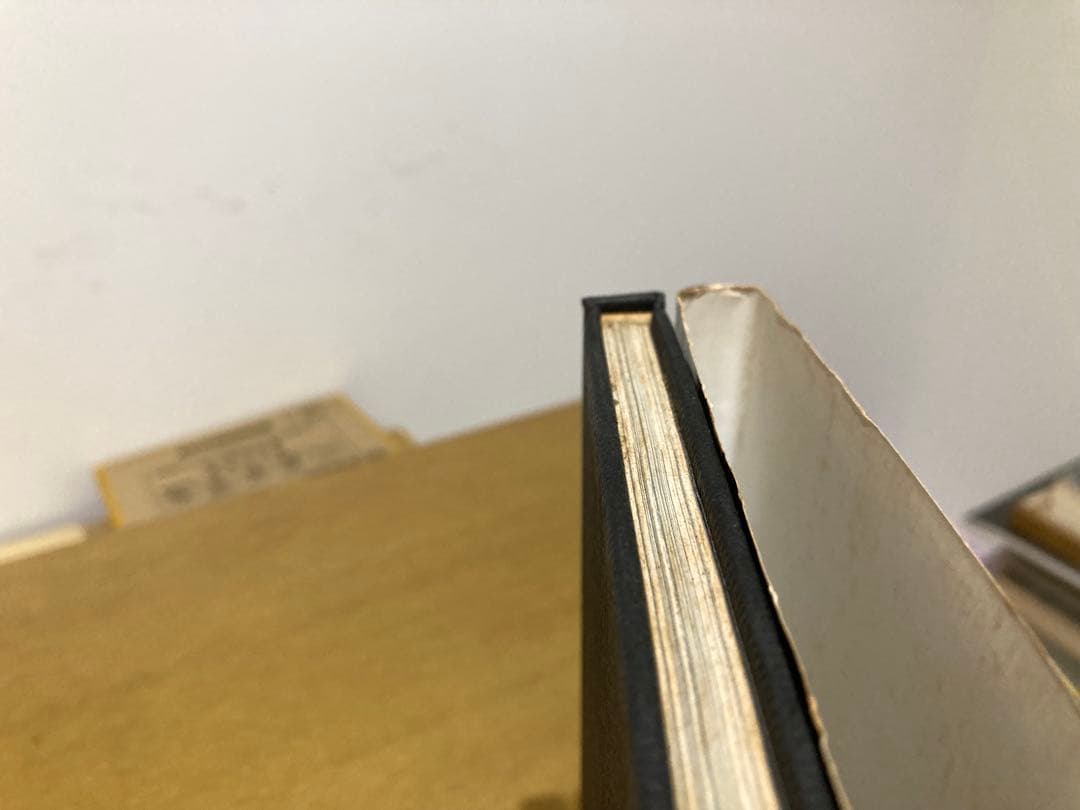 【中古】沢渡朔 ナディア 初版 写真集