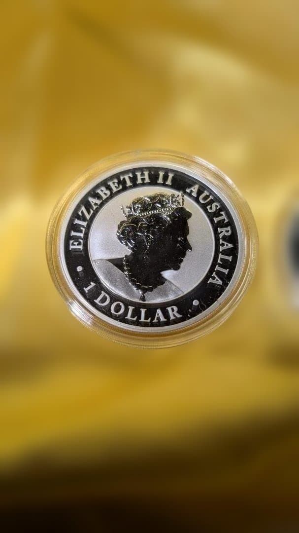 オーストラリア・クッカバラ銀貨 2枚セット 2021年　1オンス