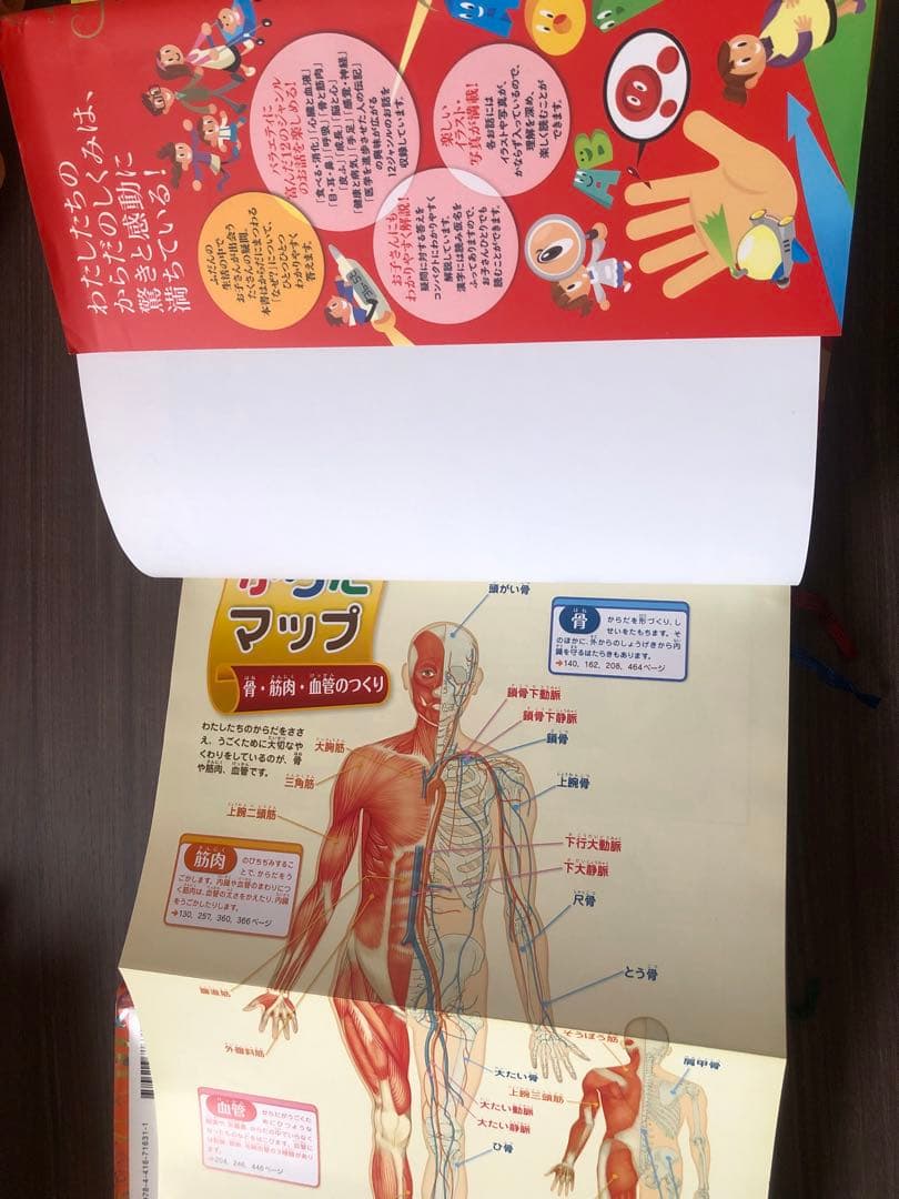 考える力を 366 頭のいい子を 365 人体のふしぎな 英語好きな子に セット