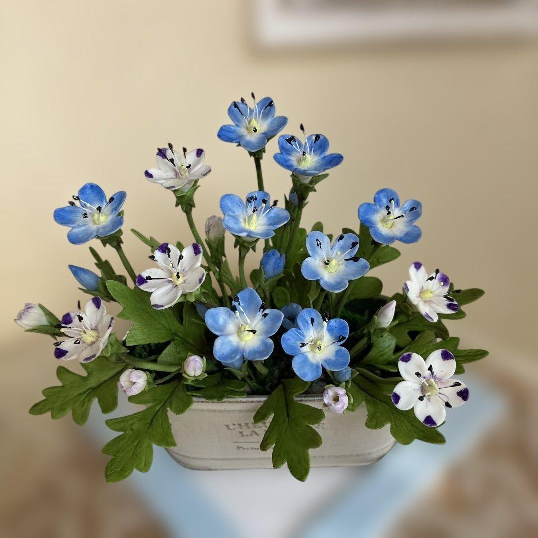 ロサ様♡専用　クレイフラワーネモフィラ(ミックス) ・がく紫陽花