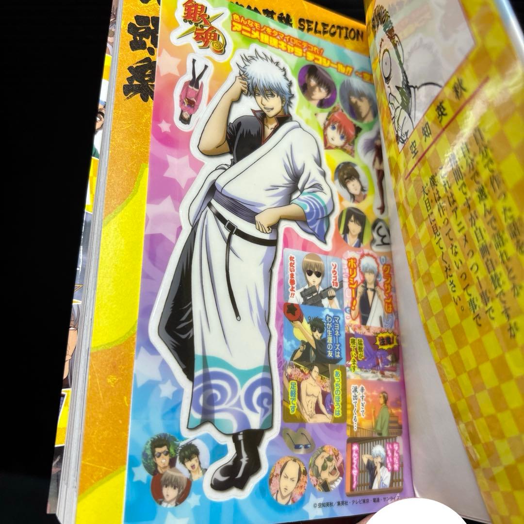 銀魂 3年Z組 銀八先生 広侍苑 キャラクターズブック 全30冊 DVD